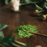 MOYA Matcha Tradycyjna 30g | CoffeeLove