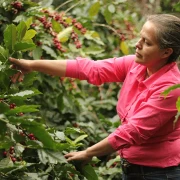 Audun Drip No. 2 filtr 1kg | CoffeeLove