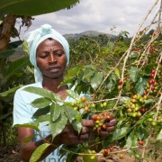 1000 Hills Muhabura Rwanda natural espresso 1 kg | CoffeeLove