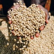 Gardelli Etiopia Worka Wuri omniroast 250 g | CoffeeLove