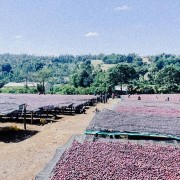 Father's Coffee Mother-Ship blend 300 g | CoffeeLove