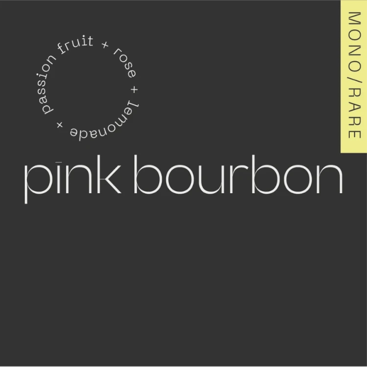 A.M.O.C. Coffee Kolumbia Pink Bourbon filter 100 g | CoffeeLove
