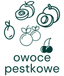 Kawa Speciality z nutami owoców pestkowych